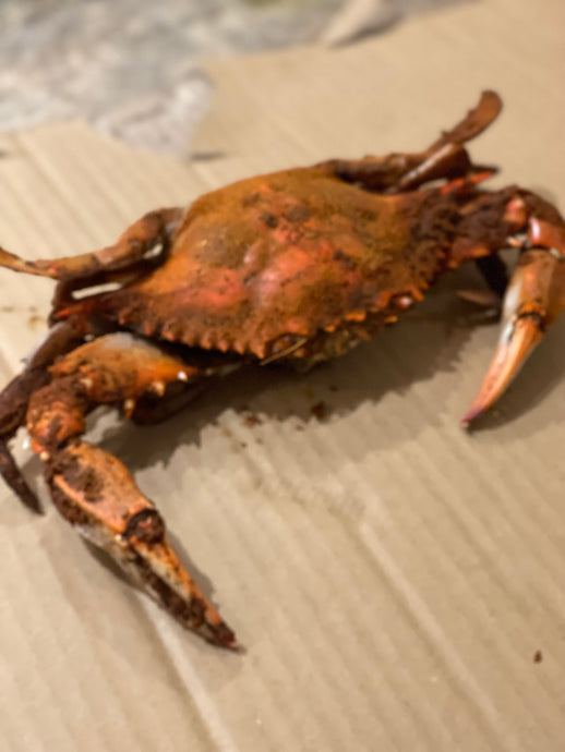 Cooking Live Blue Crabs