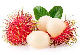 Rambutan ~ Exotic Fruit of Southeast Asia
